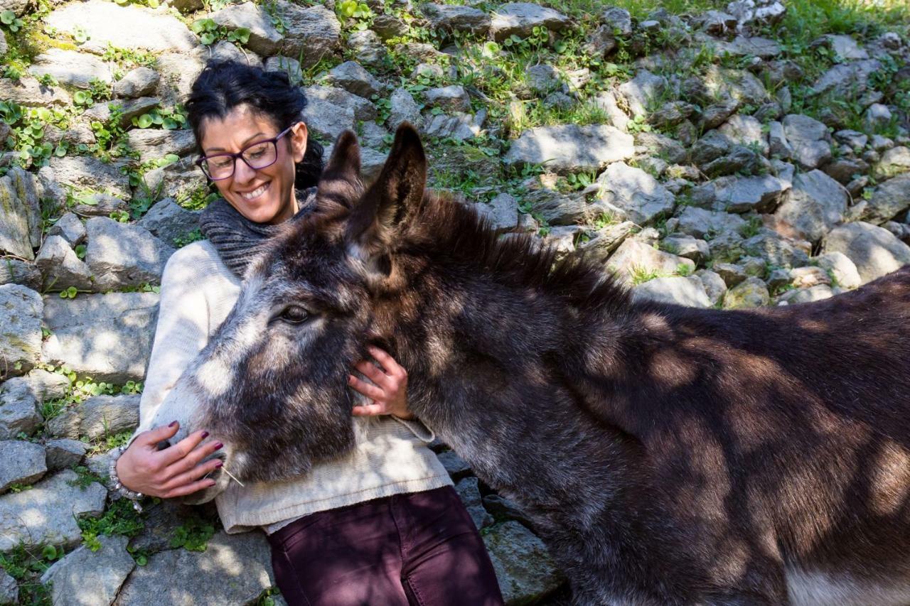 Agriturismo A Ca Vegia Calice Ligure Exteriör bild
